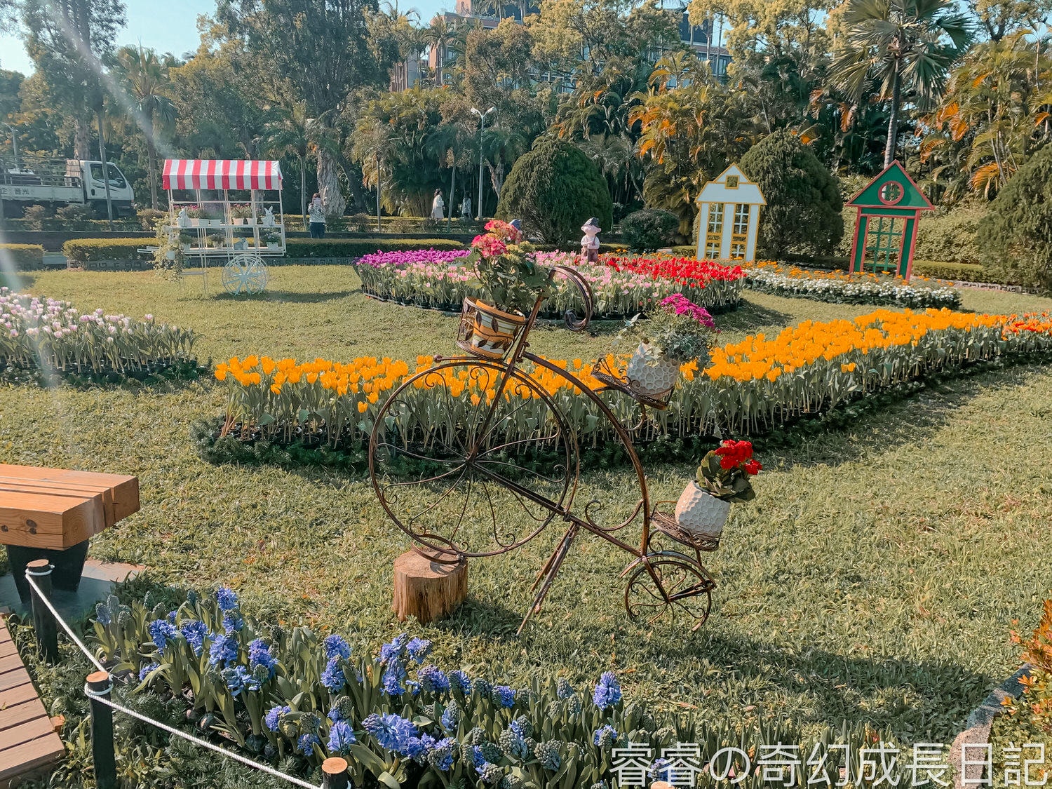 【台北景點】2021士林官邸 鬱金香花季 荷你相遇 一秒到荷蘭 鬱金香花海