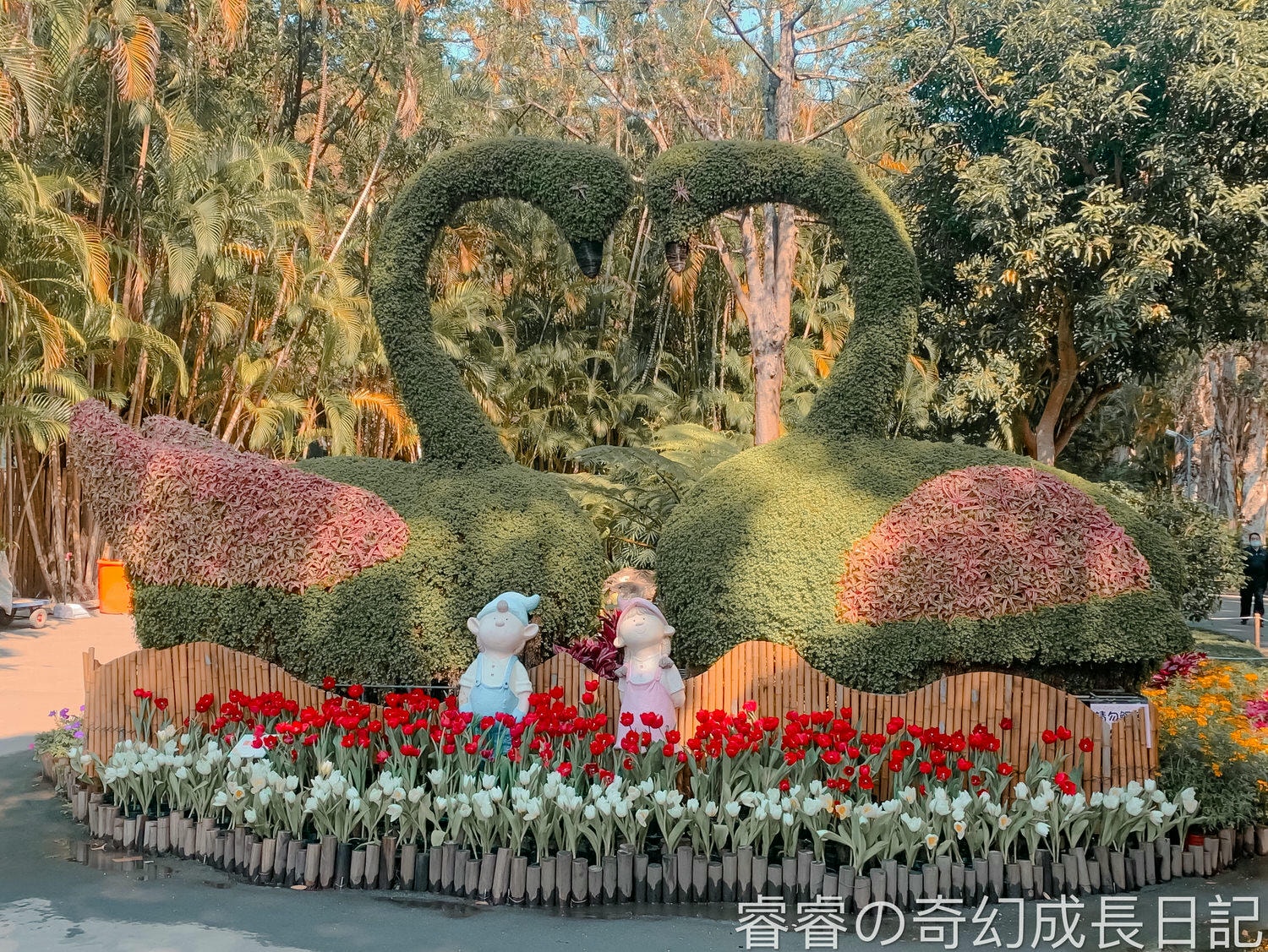 【台北景點】2021士林官邸 鬱金香花季 荷你相遇 一秒到荷蘭 鬱金香花海