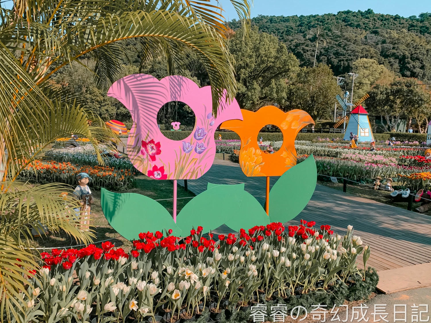 【台北景點】2021士林官邸 鬱金香花季 荷你相遇 一秒到荷蘭 鬱金香花海