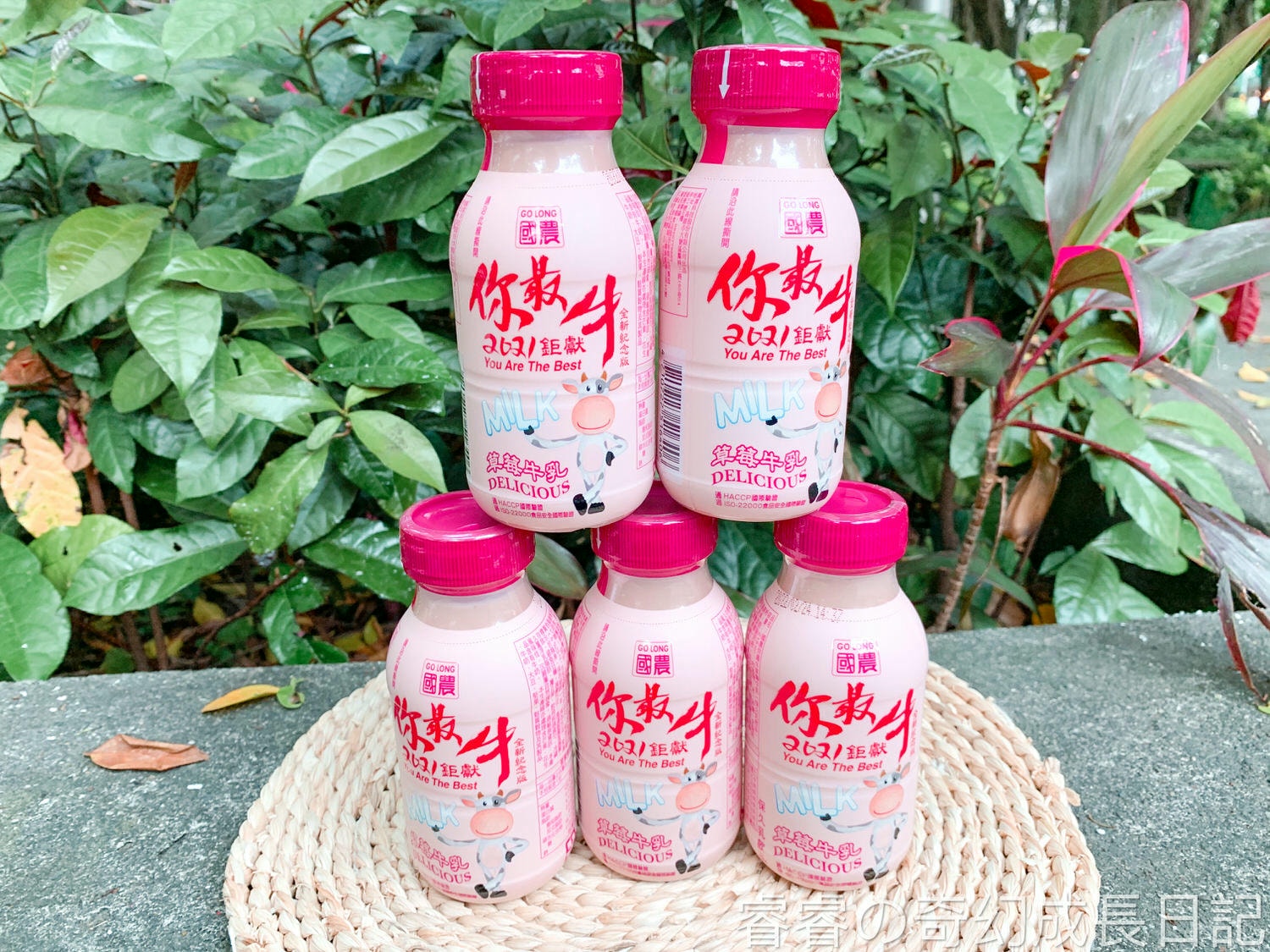 育兒好物｜國農牛乳｜215ML塑膠瓶系列｜豆奶伯強勢推出｜40年經典口味｜乳品界老品牌｜家庭必備｜國民飲品｜嚴選優質乳源