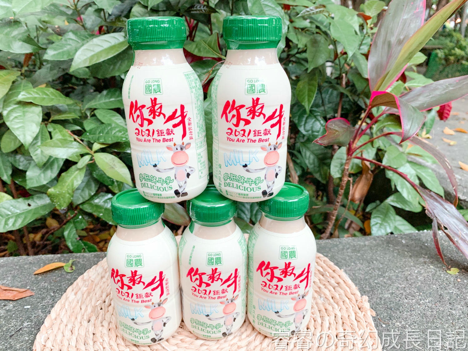 育兒好物｜國農牛乳｜215ML塑膠瓶系列｜豆奶伯強勢推出｜40年經典口味｜乳品界老品牌｜家庭必備｜國民飲品｜嚴選優質乳源