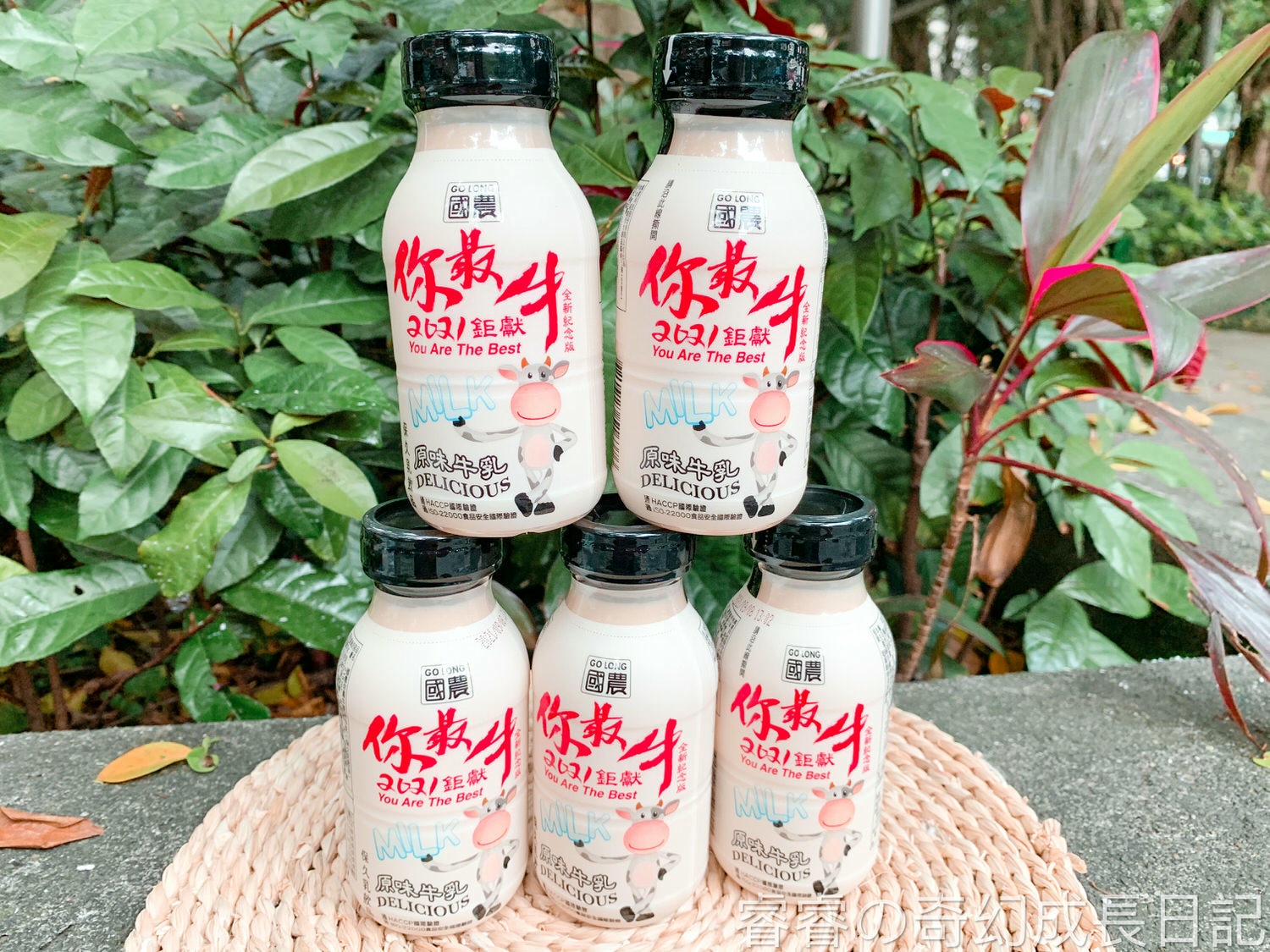 育兒好物｜國農牛乳｜215ML塑膠瓶系列｜豆奶伯強勢推出｜40年經典口味｜乳品界老品牌｜家庭必備｜國民飲品｜嚴選優質乳源